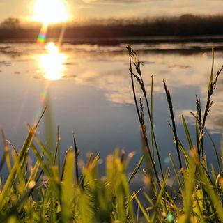 Bogi Ház Apartman Lipót (4)