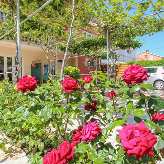 Apartman Zadar - CDA936 (5)