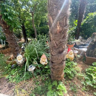 Apartman Oaza Crikvenica (5)