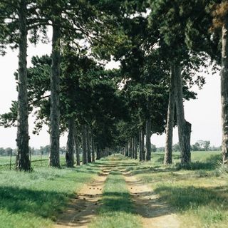 Alle Bed & Breakfast Panzió Keszthely (5)