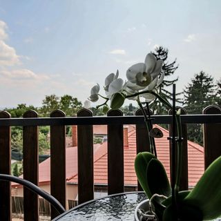 Villa Veronika Balatonalmádi (5)