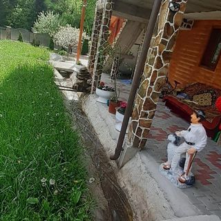 Pensiunea Andreea Gârda de Sus (5)