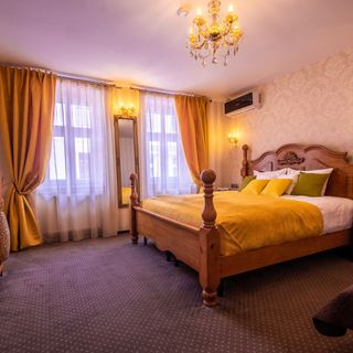 Vila Hermannstadt House 1 Sibiu (4)