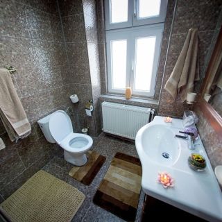 Vila Hermannstadt House 1 Sibiu (5)