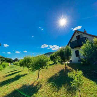 Mandulavirág Szálláshely Balatonszepezd  (3)