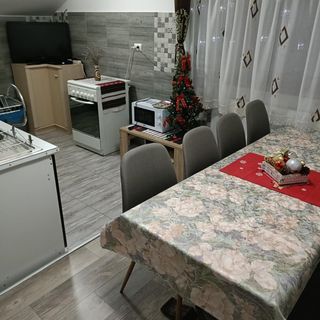 Casa Alex Toplița (3)