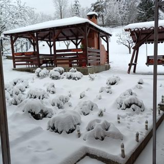 Casa Alex Toplița (5)