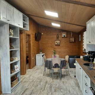 Forest Camp Transylvania Sângeorgiu de Mureș (5)