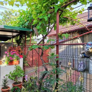 Casa Raducu Năvodari (2)