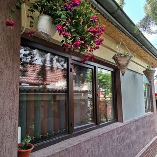 Casa Raducu Năvodari (4)