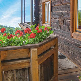 Apartman Fresach - AKA208 (5)