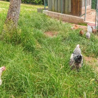 Apartman Fresach - AKA208 (4)