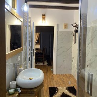 Cabana Bogdi Borșa (3)