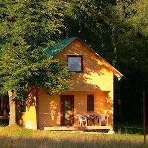 Penzion U Bílého koně Rusava (2)