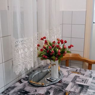 Pécs Central Apartman Pécs (4)