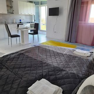 Studio Marcela Haieu (3)