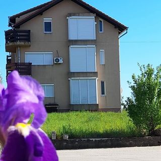 Studio Marcela Haieu (4)