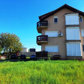 Studio Marcela Haieu (5)