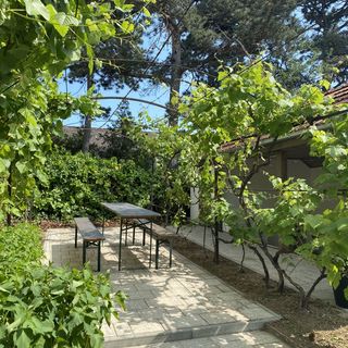 Lugas Vendégház Balatonfüred (4)