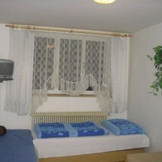 Penzion Myšák Borovnice (3)