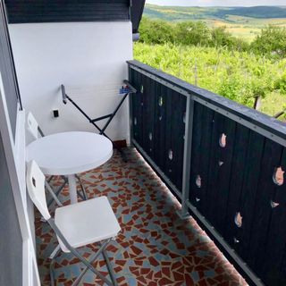 Csicsóka Panoráma Apartman Balatoncsicsó (3)