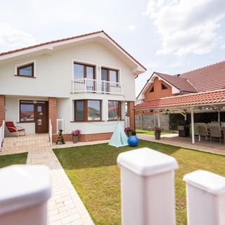 Casa de vacanță Family Nest Felix Haieu (3)