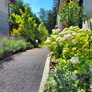 Silver Lodge Siófok (3)