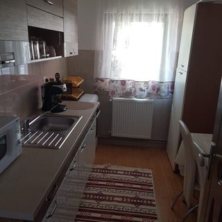 Casa de oaspeți Stetco Ileana Borșa (3)