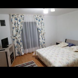 Casa de oaspeți Stetco Ileana Borșa (5)