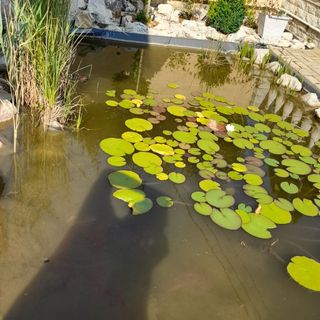 SZAKI Apartman Sárvár (5)