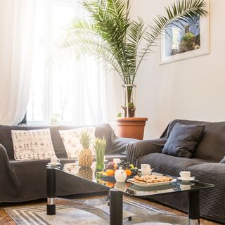 Apartament Westerplatte & Stare Miasto Kraków (4)