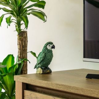 Secret Garden Apartman Miskolc (2)