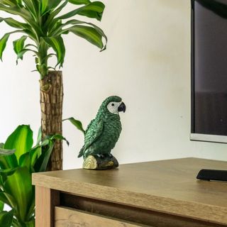 Secret Garden Apartman Miskolc (2)