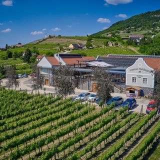 SÉD PINCE Vendégház Somlószőlős (5)