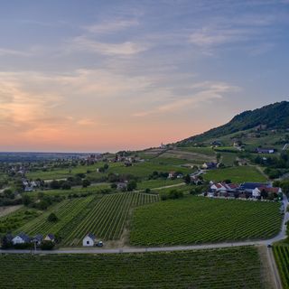 SÉD PINCE Vendégház Somlószőlős (4)