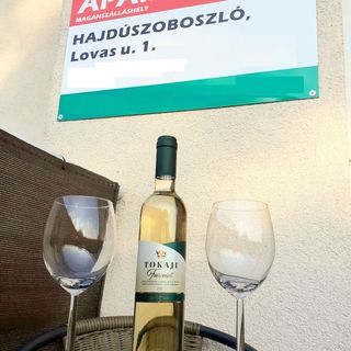 Hunor Apartman Hajdúszoboszló (4)