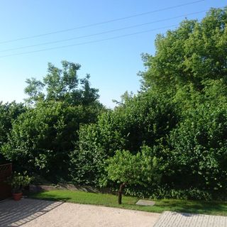 Fullér Vendégház Hévíz (2)