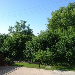 Fullér Vendégház Hévíz (2)