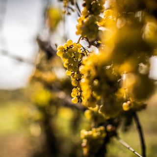 Apartman Busko-Zdrój - PPG112 (4)