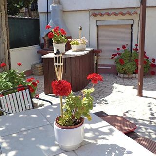 Apartman Pula - CIP939 (2)