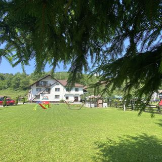 Pensiunea Floare de Colț Bran (2)