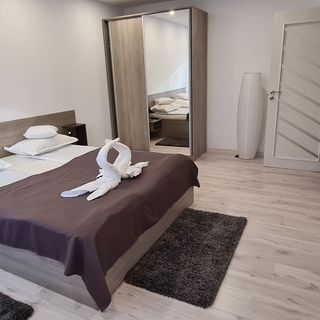 Apartament Intim Sovata (2)