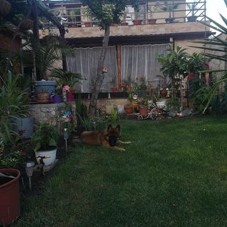 Casa Aylin Mangalia (5)