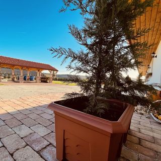 Csigevár Birtok Balatonendréd (5)