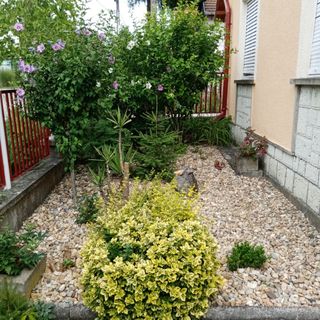 Tölgyfa Nyaraló Bogács (2)