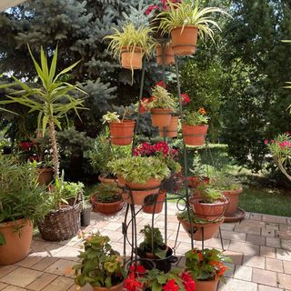 Jázmin-Szieszta Apartmanház Balatonfüred (3)