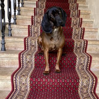 Penzion Vila Julie Jilemnice (5)