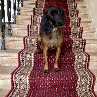 Penzion Vila Julie Jilemnice (5)