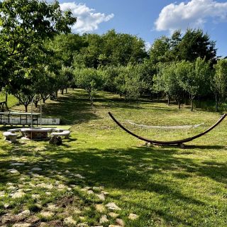 Pipacs és Tulipán Vendégház Bodony (5)