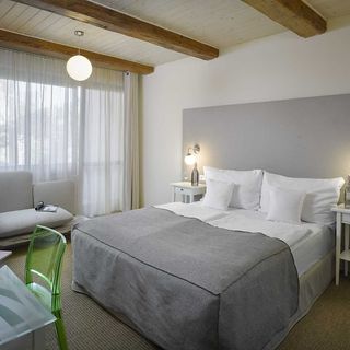 Hotel La Romantica Mladá Boleslav (4)